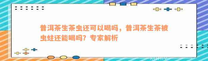 普洱茶生茶虫还可以喝吗，普洱茶生茶被虫蛀还能喝吗？专家解析