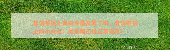 普洱茶饼上有白点是发霉了吗，普洱茶饼上的小白点：是发霉还是正常现象？