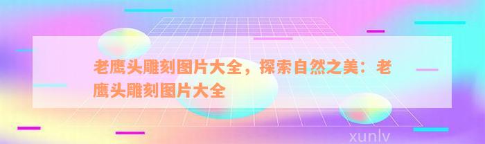 老鹰头雕刻图片大全，探索自然之美：老鹰头雕刻图片大全