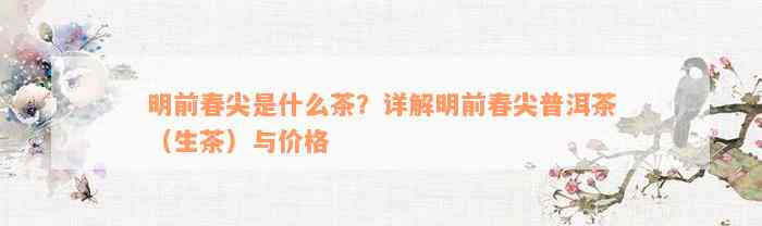 明前春尖是什么茶？详解明前春尖普洱茶（生茶）与价格