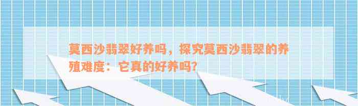 莫西沙翡翠好养吗，探究莫西沙翡翠的养殖难度：它真的好养吗？