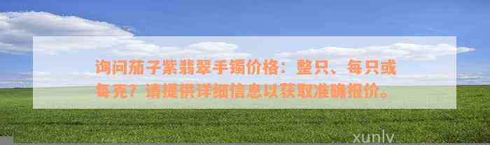 询问茄子紫翡翠手镯价格：整只、每只或每克？请提供详细信息以获取准确报价。