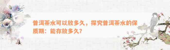 普洱茶水可以放多久，探究普洱茶水的保质期：能存放多久？