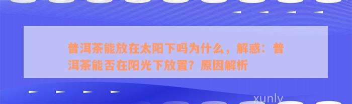 普洱茶能放在太阳下吗为什么，解惑：普洱茶能否在阳光下放置？原因解析