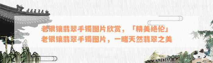 老银镶翡翠手镯图片欣赏，「精美绝伦」老银镶翡翠手镯图片，一睹天然翡翠之美