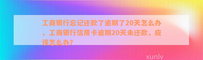 工商银行忘记还款了逾期了20天怎么办，工商银行信用卡逾期20天未还款，应该怎么办？