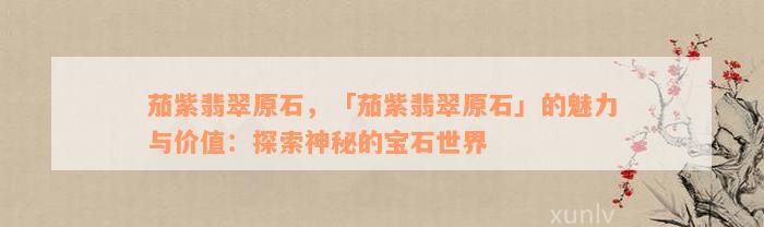 茄紫翡翠原石，「茄紫翡翠原石」的魅力与价值：探索神秘的宝石世界