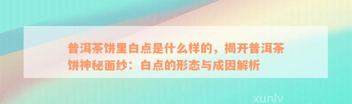 普洱茶饼里白点是什么样的，揭开普洱茶饼神秘面纱：白点的形态与成因解析