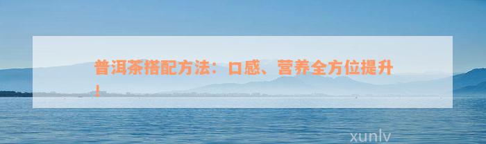 普洱茶搭配方法：口感、营养全方位提升！