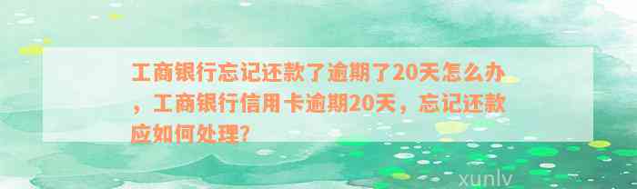 工商银行忘记还款了逾期了20天怎么办，工商银行信用卡逾期20天，忘记还款应如何处理？