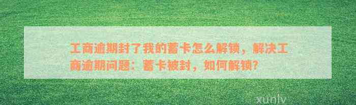 工商逾期封了我的蓄卡怎么解锁，解决工商逾期问题：蓄卡被封，如何解锁？