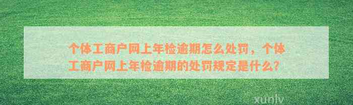 个体工商户网上年检逾期怎么处罚，个体工商户网上年检逾期的处罚规定是什么？