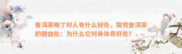 普洱茶喝了对人有什么好处，探究普洱茶的健益处：为什么它对身体有好处？