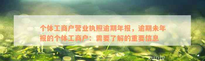 个体工商户营业执照逾期年报，逾期未年报的个体工商户：需要了解的重要信息