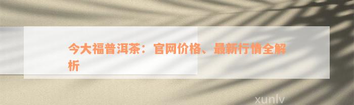 今大福普洱茶：官网价格、最新行情全解析