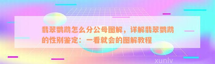 翡翠鹦鹉怎么分公母图解，详解翡翠鹦鹉的性别鉴定：一看就会的图解教程