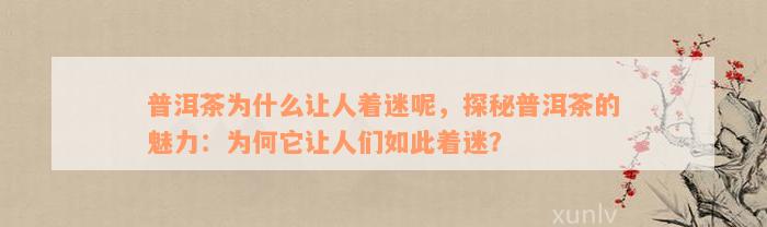 普洱茶为什么让人着迷呢，探秘普洱茶的魅力：为何它让人们如此着迷？