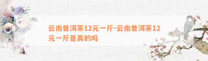 云南普洱茶12元一斤-云南普洱茶12元一斤是真的吗