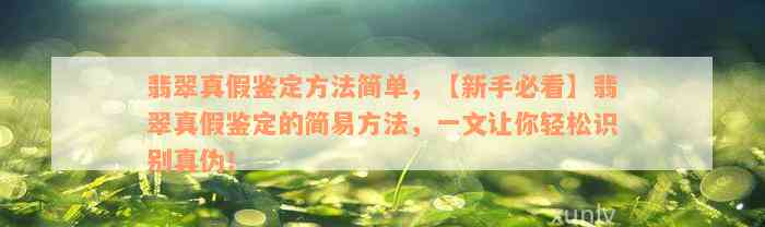 翡翠真假鉴定方法简单，【新手必看】翡翠真假鉴定的简易方法，一文让你轻松识别真伪！