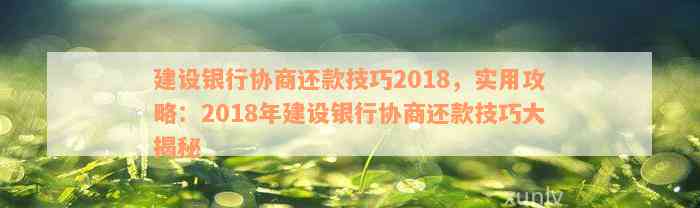 建设银行协商还款技巧2018，实用攻略：2018年建设银行协商还款技巧大揭秘