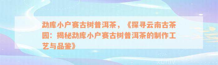 勐库小户赛古树普洱茶，《探寻云南古茶园：揭秘勐库小户赛古树普洱茶的制作工艺与品鉴》