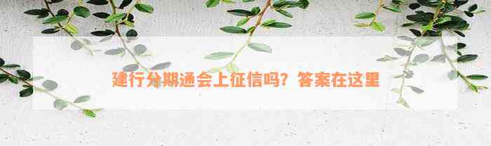 建行分期通会上征信吗？答案在这里