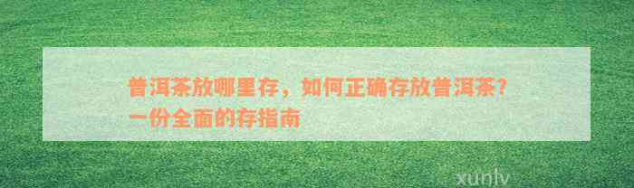 普洱茶放哪里存，如何正确存放普洱茶？一份全面的存指南