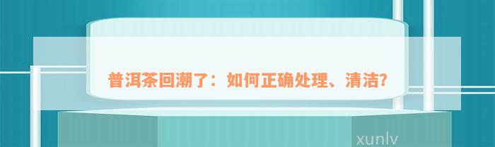 普洱茶回潮了：如何正确处理、清洁？