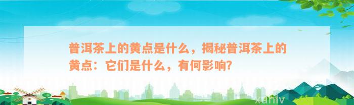 普洱茶上的黄点是什么，揭秘普洱茶上的黄点：它们是什么，有何影响？