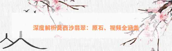 深度解析莫西沙翡翠：原石、视频全涵盖