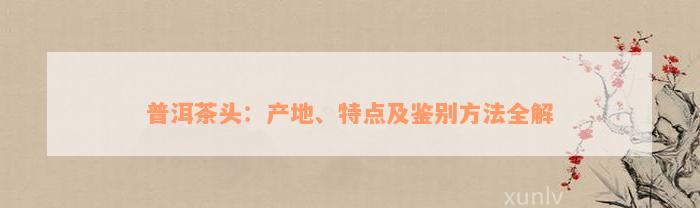 普洱茶头：产地、特点及鉴别方法全解