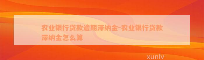 农业银行贷款逾期滞纳金-农业银行贷款滞纳金怎么算