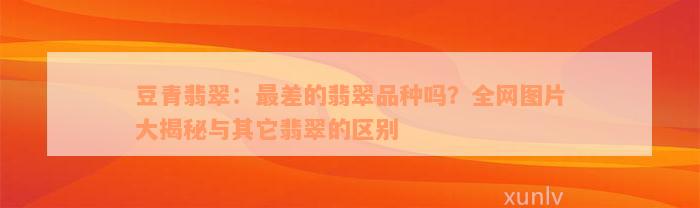 豆青翡翠：最差的翡翠品种吗？全网图片大揭秘与其它翡翠的区别