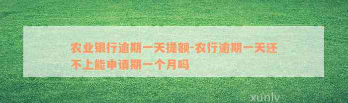 农业银行逾期一天提额-农行逾期一天还不上能申请期一个月吗