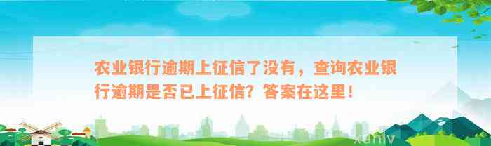 农业银行逾期上征信了没有，查询农业银行逾期是否已上征信？答案在这里！