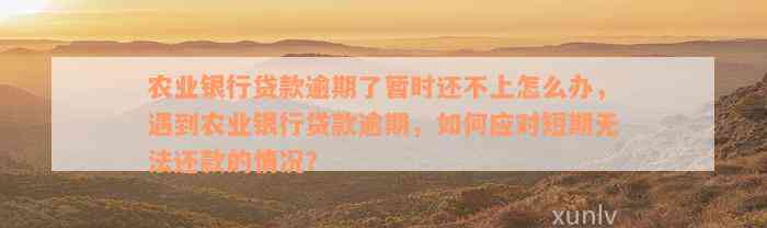 农业银行贷款逾期了暂时还不上怎么办，遇到农业银行贷款逾期，如何应对短期无法还款的情况？