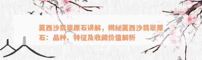 莫西沙翡翠原石讲解，揭秘莫西沙翡翠原石：品种、特征及收藏价值解析