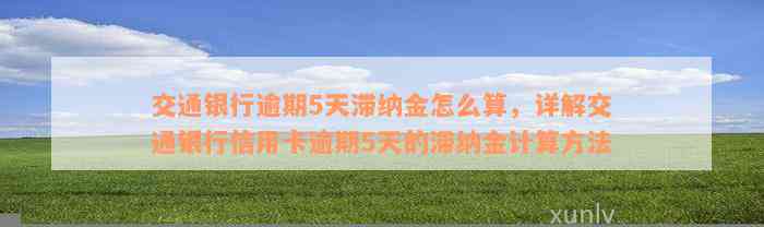 交通银行逾期5天滞纳金怎么算，详解交通银行信用卡逾期5天的滞纳金计算方法