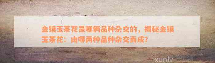 金镶玉茶花是哪俩品种杂交的，揭秘金镶玉茶花：由哪两种品种杂交而成？