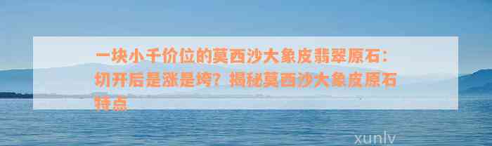 一块小千价位的莫西沙大象皮翡翠原石：切开后是涨是垮？揭秘莫西沙大象皮原石特点