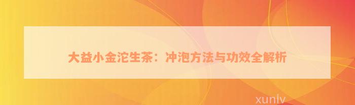 大益小金沱生茶：冲泡方法与功效全解析