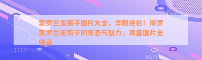 紫罗兰玉镯子图片大全，华丽绝伦！探索紫罗兰玉镯子的美态与魅力，海量图片全收录