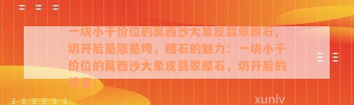 一块小千价位的莫西沙大象皮翡翠原石,切开后是涨是垮，赌石的魅力：一块小千价位的莫西沙大象皮翡翠原石，切开后的惊喜！