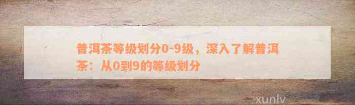 普洱茶等级划分0-9级，深入了解普洱茶：从0到9的等级划分