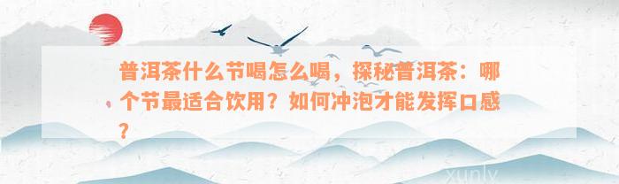 普洱茶什么节喝怎么喝，探秘普洱茶：哪个节最适合饮用？如何冲泡才能发挥口感？