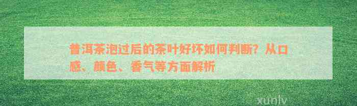 普洱茶泡过后的茶叶好坏如何判断？从口感、颜色、香气等方面解析