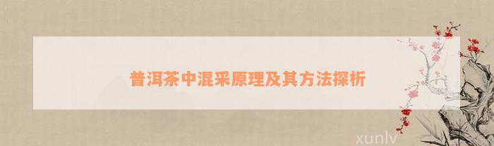 普洱茶中混采原理及其方法探析