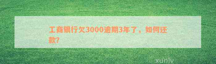 工商银行欠3000逾期3年了，如何还款？