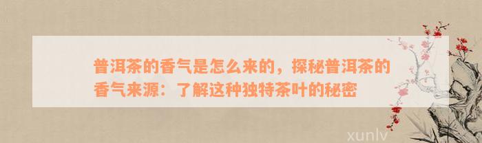 普洱茶的香气是怎么来的，探秘普洱茶的香气来源：了解这种独特茶叶的秘密