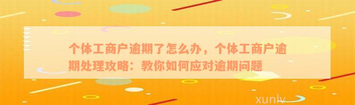 个体工商户逾期了怎么办，个体工商户逾期处理攻略：教你如何应对逾期问题